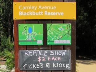 Sydney - Newcastle - Blackbutt Reserve