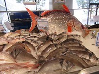 Auckland - marché aux poissons