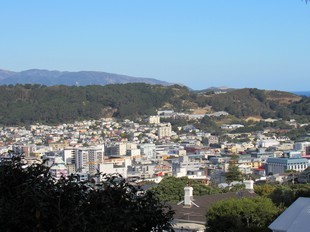 Wellington - city view from the Botanic Garden