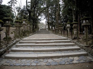 Kyoto - Parc de Nara - Kasuga Taisha, chemin