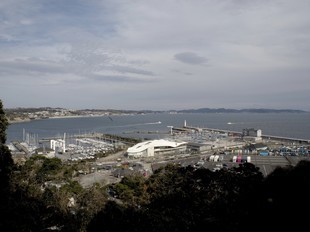 Tokyo - Kamakura - Ile d'Enoshima - vue du haut de l'île