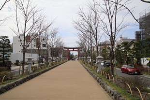 Tokyo - Kamakura - Sanctuaire Tsurugaoka Hachimangu - petit chemin très charmant