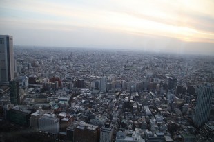 Tokyo - Observatoire du siège du gouvernement métropolitain de Tokyo - vue #2