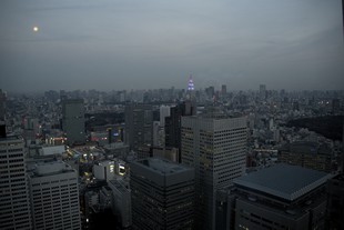 Tokyo - Observatoire du siège du gouvernement métropolitain de Tokyo - vue #3