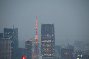 Tokyo - Observatoire du siège du gouvernement métropolitain de Tokyo - vue #4