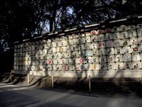 Tokyo - Sanctuaire Meiji - mur d'alcool japonnais