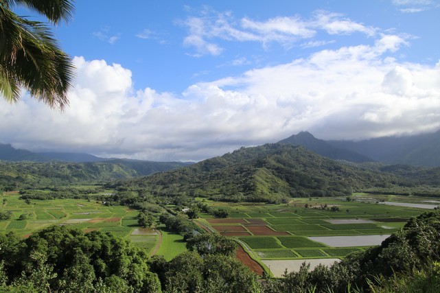 Kauai - Hanalei Valley