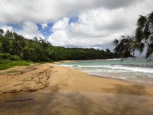 Kauai - Plage de Moloa'a Bay - vue 1