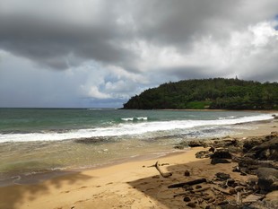 Kauai - Plage de Moloa'a Bay - vue 2