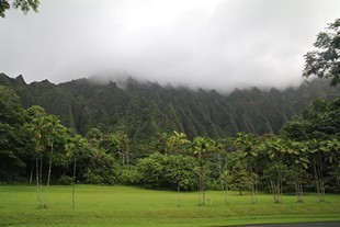 Oahu - Ho'omaluhia Botanical Garden - cliffs