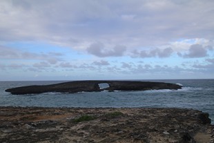 Oahu - Laie Point - rocher