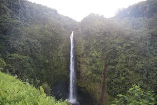 Big Island - Akaka Falls - water fall