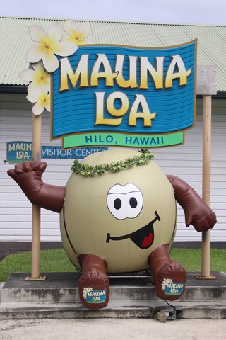 Big Island - Mauna Loa Macadamia Nut Visitor Center