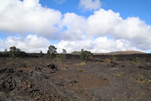 Big Island - Volcanoes National Park - Chain of Craters Road - Mauna Ulu Trailhead