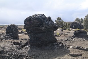 Big Island - Volcanoes National Park - Chain of Craters Road - Mauna Ulu Trailhead, lava tree molds