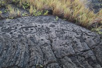 Big Island - Volcanoes National Park - Chain of Craters Road - Pu’u Loa Petroglyphs Trail - view #3