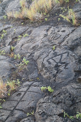 Big Island - Volcanoes National Park - Chain of Craters Road - Pu’u Loa Petroglyphs Trail - view #5