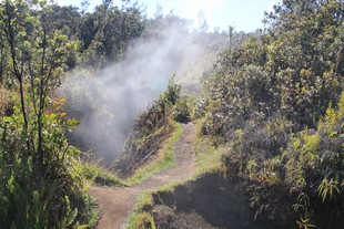 Big Island - Volcanoes National Park - Crater Rim Drive - Steam Vents
