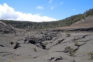 Big Island - Volcanoes National Park - Kilauea Iki Crater, cracked surface