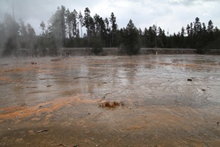 Yellowstone National Park - Madison - Fountain Paint Pot and Lower Geyser Basin - Bacteria Mat
