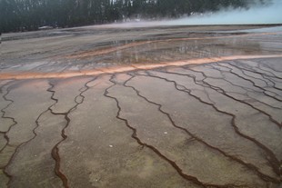 Yellowstone National Park - Madison - Midway Geyser Basin - Grand Prismatic Spring - vue sur les bords