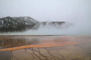 Yellowstone National Park - Madison - Midway Geyser Basin - Grand Prismatic Spring