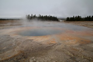 Yellowstone National Park - Madison - Midway Geyser Basin - Opal Pool
