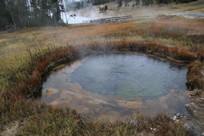 Yellowstone National Park - Madison - Terrace Springs - bassin #1