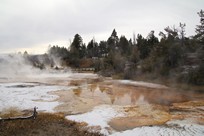 Yellowstone National Park - Mammoth Hot Springs - Mammoth Hot Springs Terraces - Grassy Spring