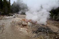 Yellowstone National Park - Norris - Norris Geyser Basin - Back Basin - Puff'n'Stuff Geyser
