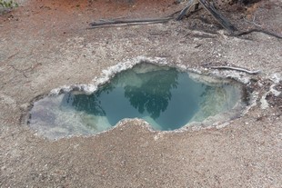 Yellowstone National Park - Norris - Norris Geyser Basin - Porcelain Basin - Whale's Mouth
