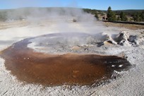 Yellowstone National Park - Old Faithful Village - Biscuit Basin - Avoca Spring