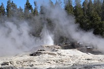 Yellowstone National Park - Old Faithful Village - Upper Geyser Basin - Bijou And Catfish Geyser eruption