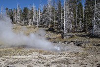 Yellowstone National Park - Old Faithful Village - Upper Geyser Basin - Rift Geyser eruption