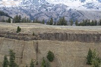 Yellowstone National Park - Tower-Roosevelt - Calcite Springs Overlook - basalt column