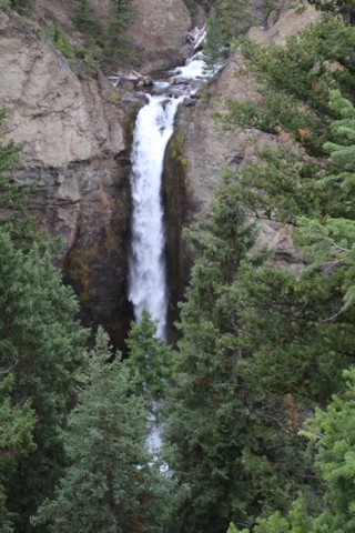Yellowstone National Park - Tower-Roosevelt - Tower Falls