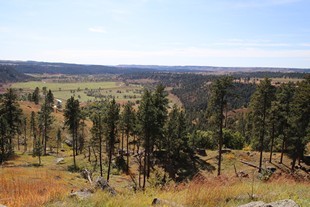 Devils Tower - vue sur la vallée depuis le chemin de randonnée